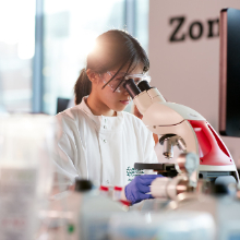 科学工程学部